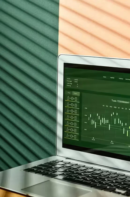 Financial reports reviewed on a laptop by SGA World auditors