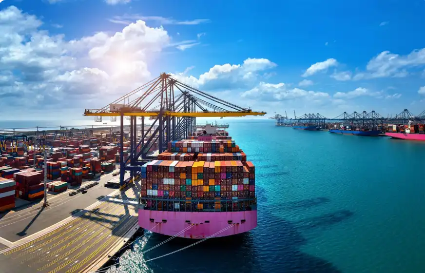 Qualifying Free Zone Person